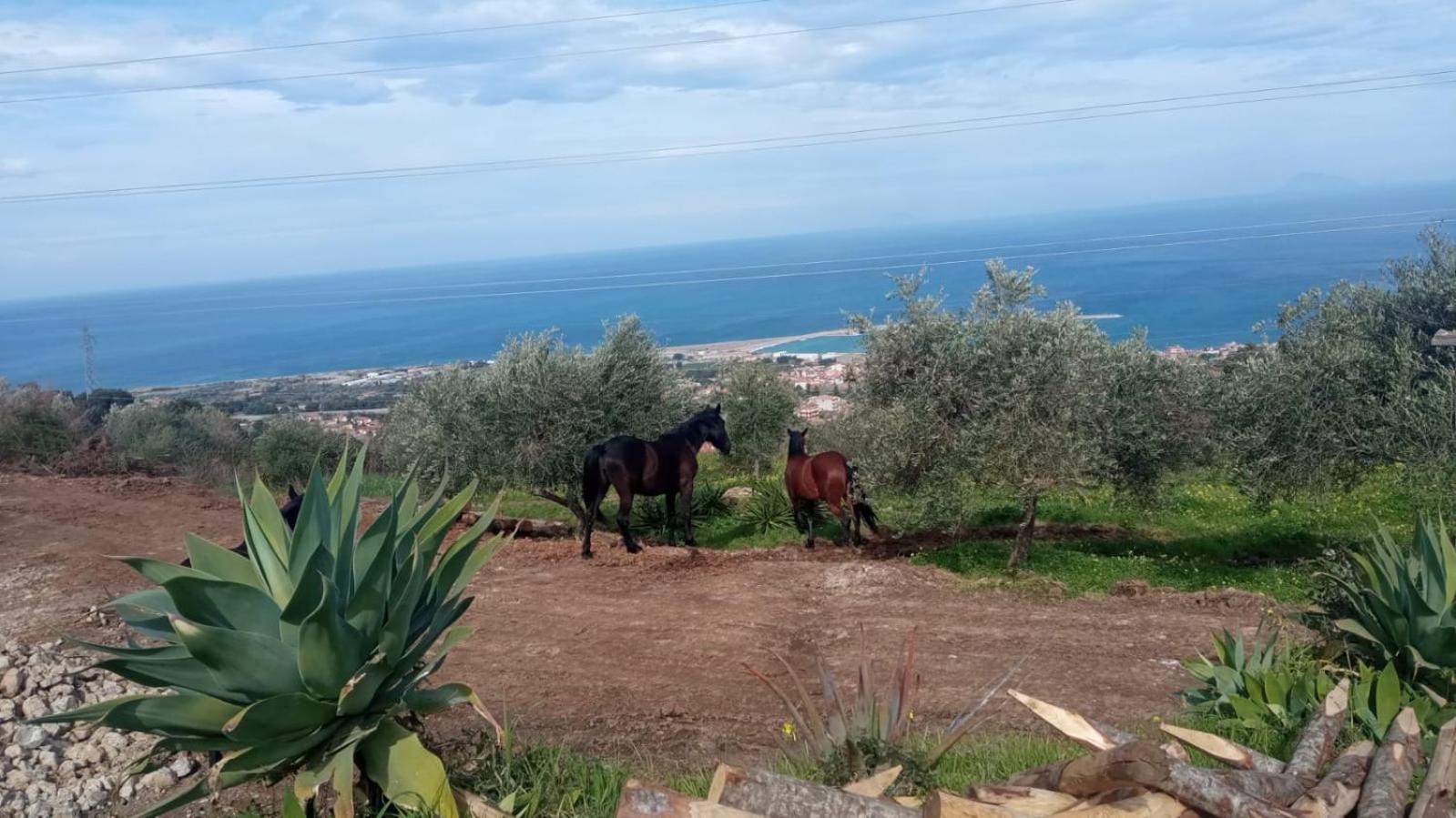 Agriturismo Serre SantʼAgata di Militello Dış mekan fotoğraf
