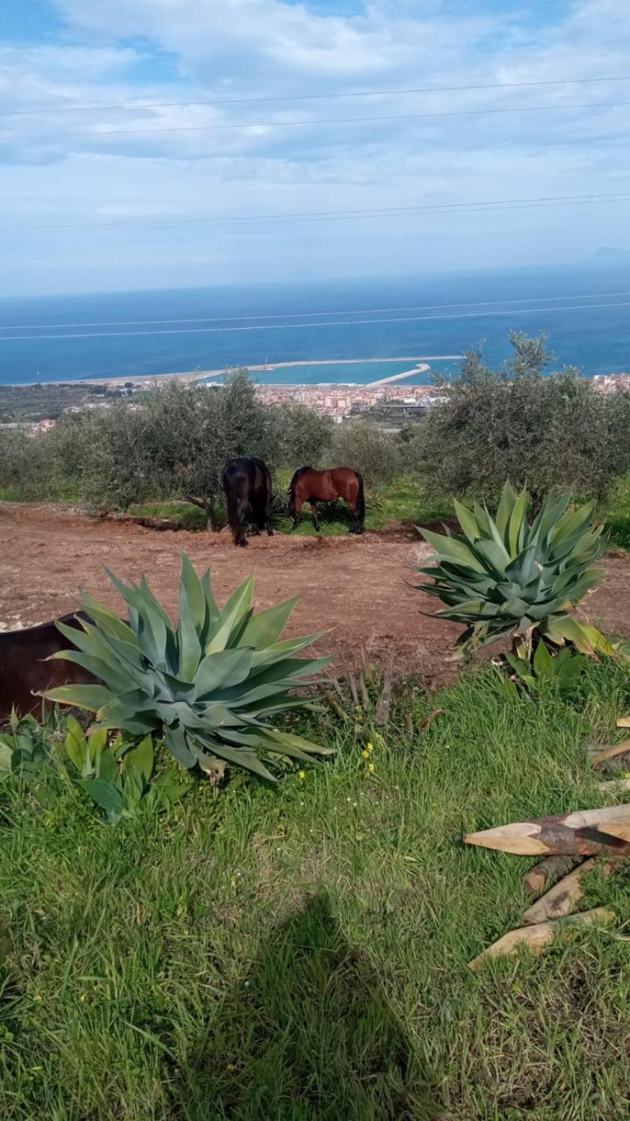 Agriturismo Serre SantʼAgata di Militello Dış mekan fotoğraf